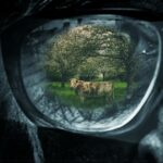 AFFICHE Festival Normandie Impressionniste 2016