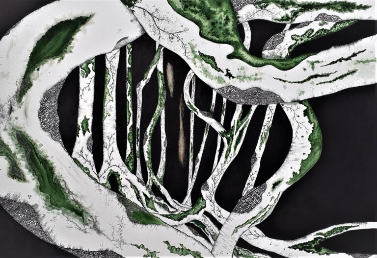 Illusion nocturne II - 2022