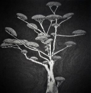 La Cohérence - 2019