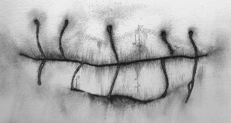 Motus et Bouche cousue - 2019