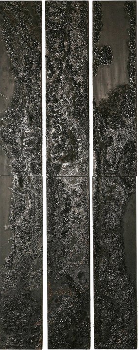 Tronc d'arbre - 2011