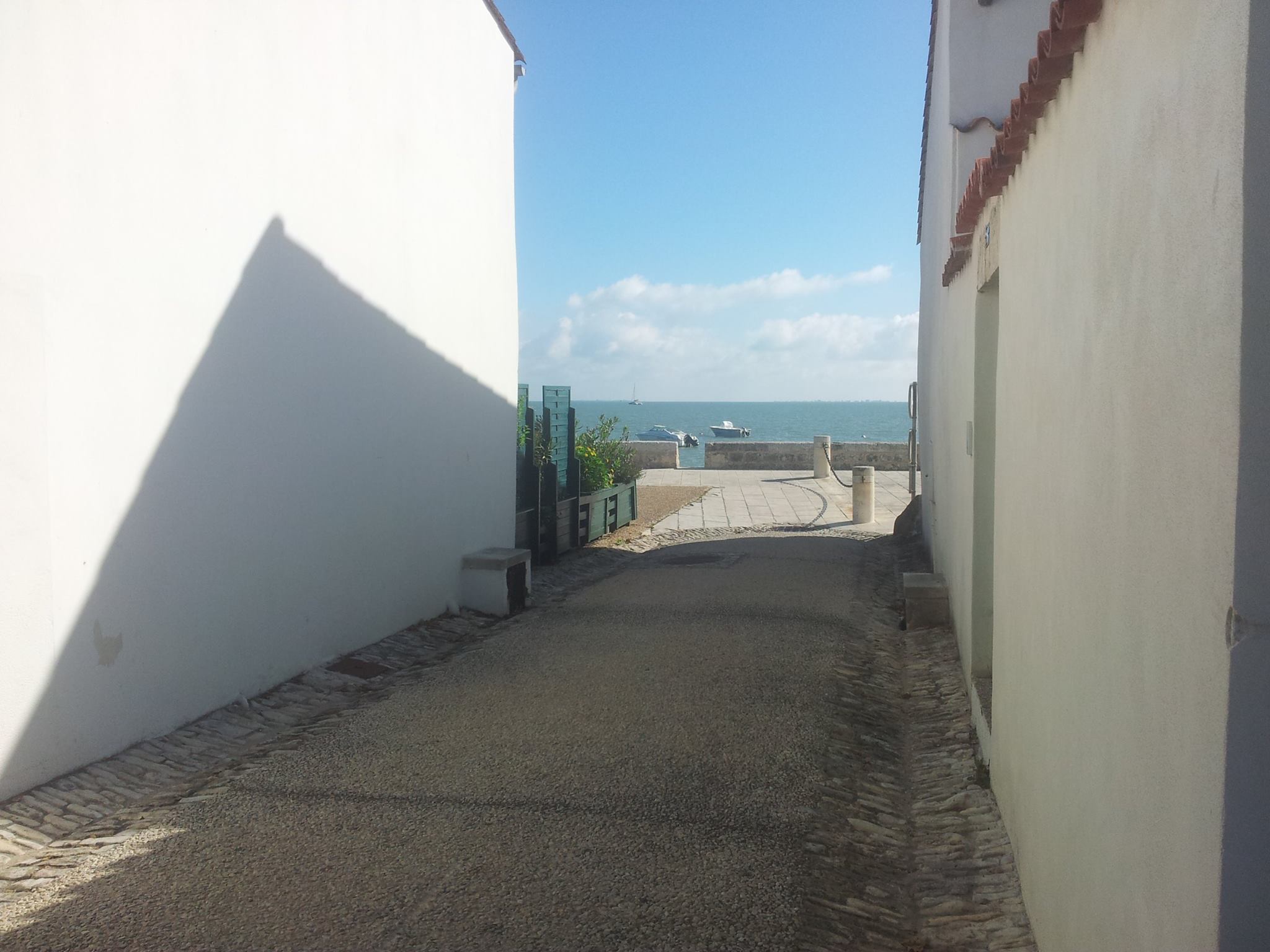 Alentours de L Ecloserie ile de ré