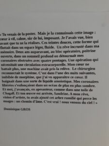 Mots de Dominique Gros