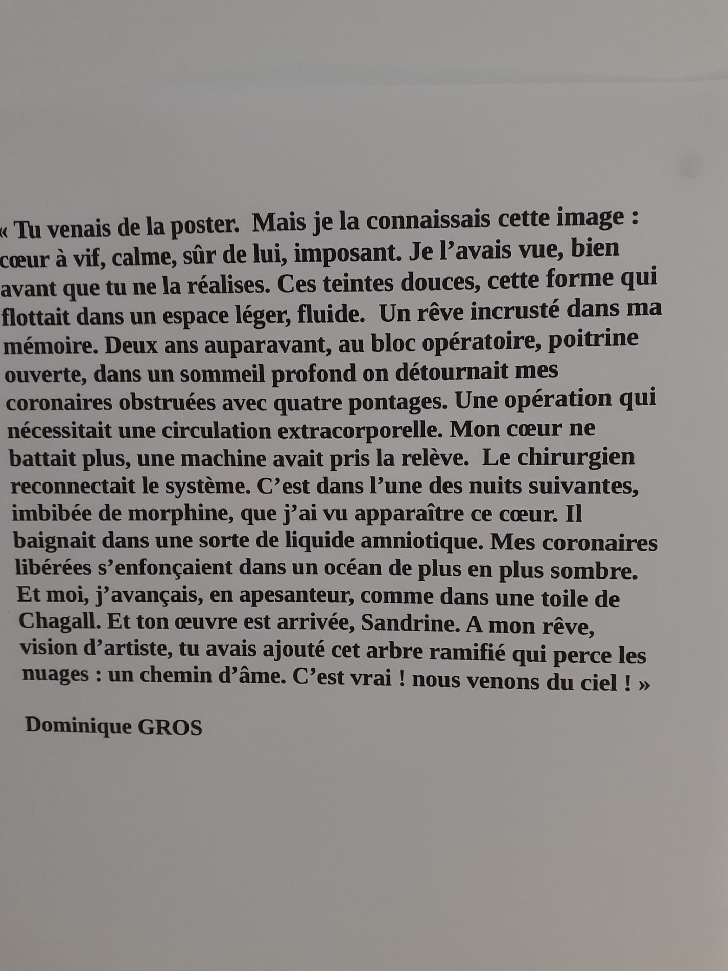 Mots de Dominique Gros